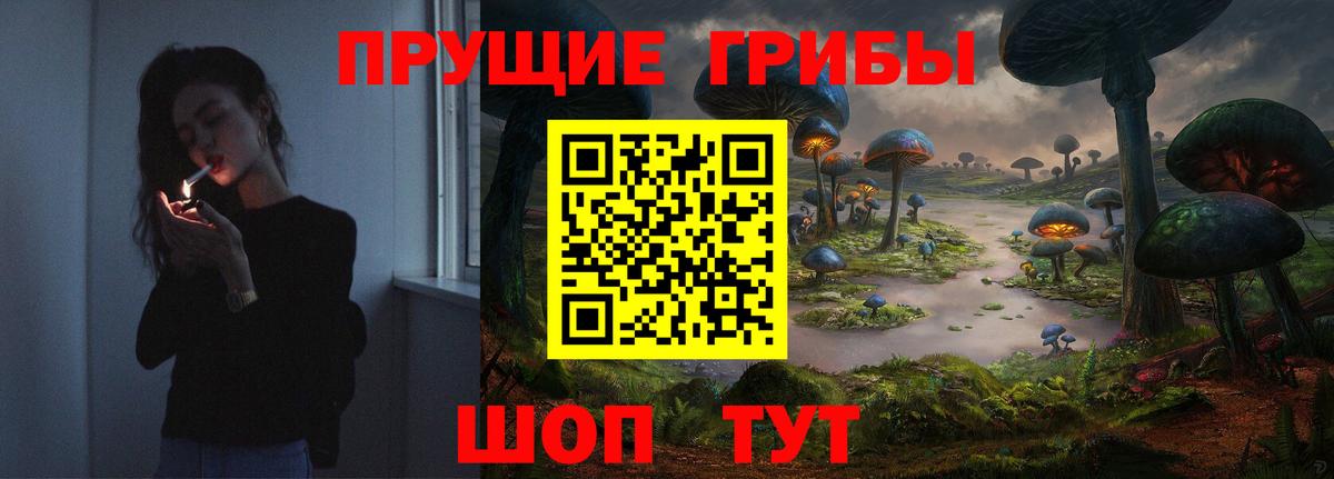 Псилоцибиновые грибы прущие грибы  Псилоцибиновые грибы GOLDEN TEACHER  Вход с VPN  Губкин 